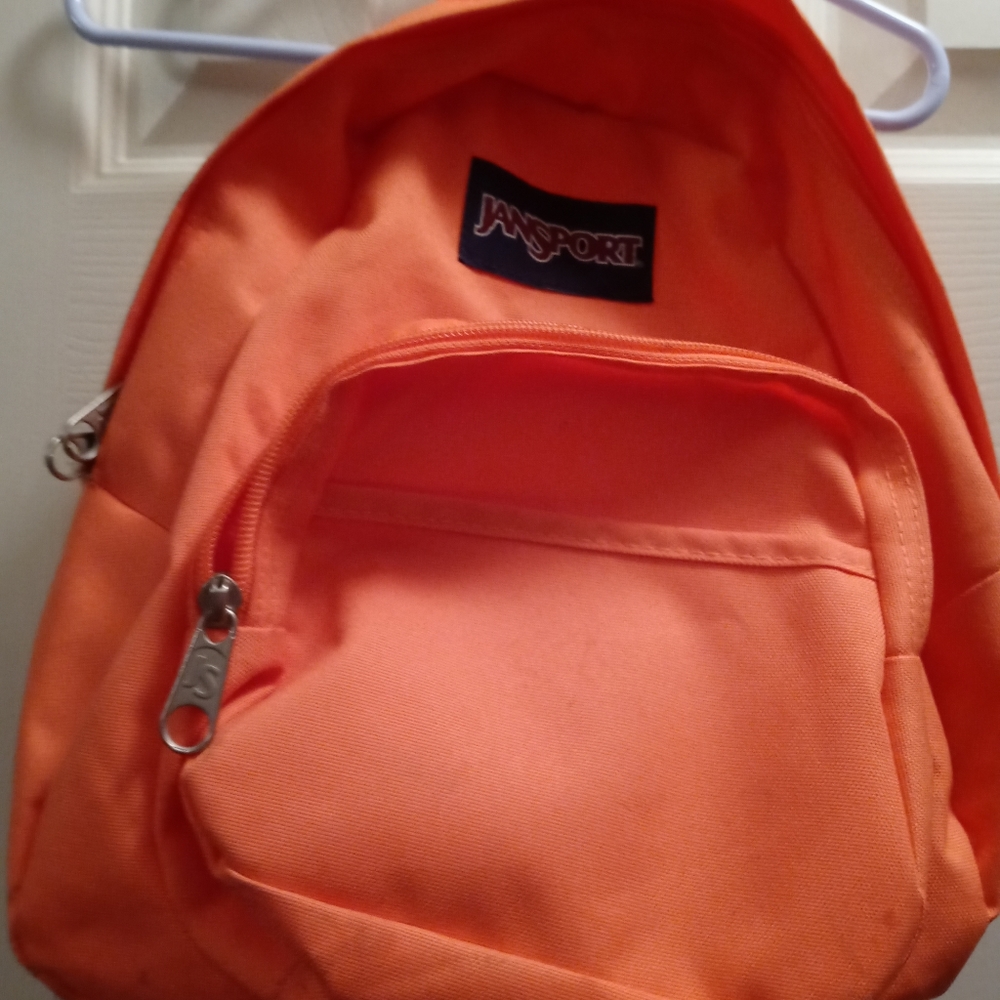 Jansport mini bookbag